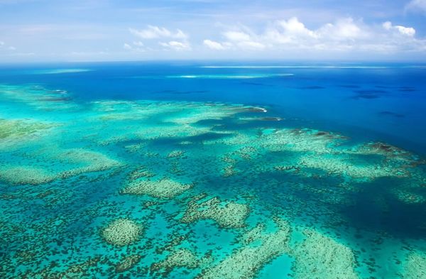 Où sont situées ces îles dans les océans (8)