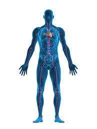 Expression partie du corps 2