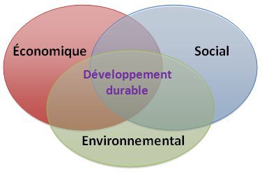 Les enjeux du développement durable
