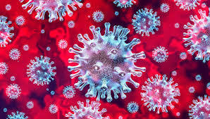 Coronavírus: você conhece ?