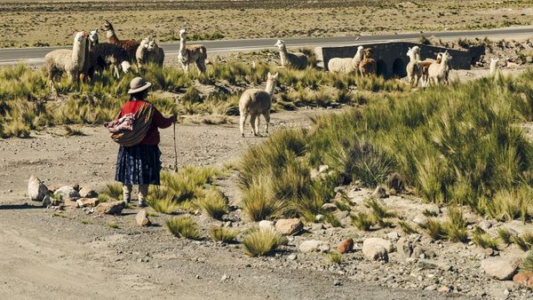 L'Amérique du Sud : La ville de Chan Chan au Pérou - 12A