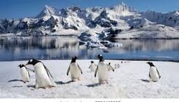 Le continent Antarctique