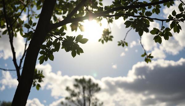 Retour sur le 3 mai : Journée du soleil - 17A