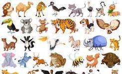 Les animaux en allemand (3)