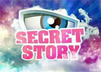 Quizz sur Secret Story