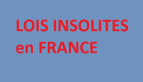 Les lois insolites en France