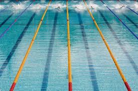 Championnats du monde de natation 2013