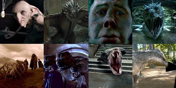Harry Potter, les diffèrentes créatures