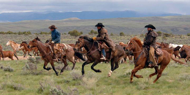 Equitation western