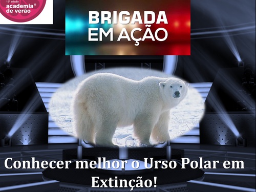 Brigada em ação? Conhecer melhor o Urso Polar em extinção .