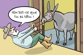 Les expressions francophones