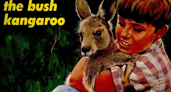 Renard, kangourou