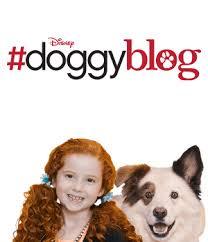 Doggy Blog