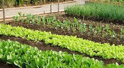 L'agriculture française (1)