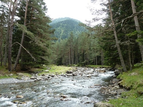 Connaissez-vous les cours d'eau des Pyrénées françaises ?