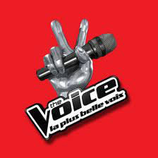 The voice - les 8 finalistes
