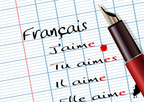 A quel point êtes-vous bon en français ? (2)