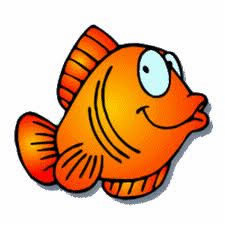 Le poisson rouge : vrai ou faux ?