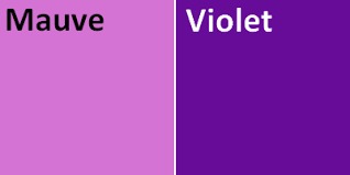 Tout en violet