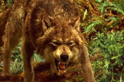 Teen Wolf : loups-garous alfas