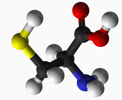 Molécules anabolisantes