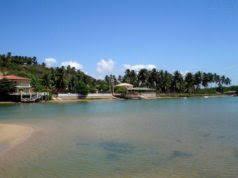 O que sei sobre as lagoas de Alagoas ?
