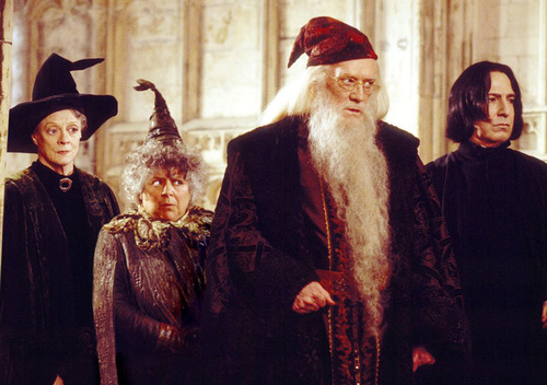Les professeurs dans "Harry Potter"