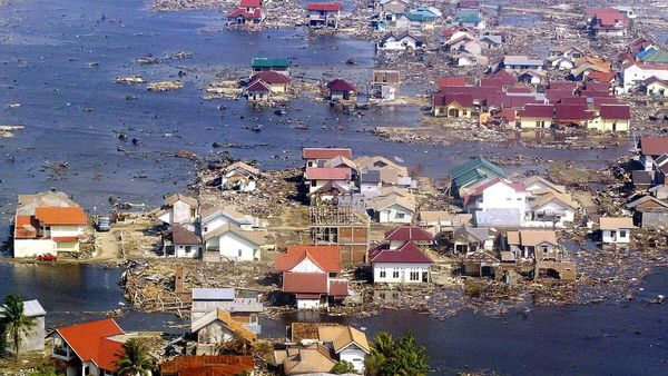 Les catastrophes - 2011 - Le tsunami du Japon