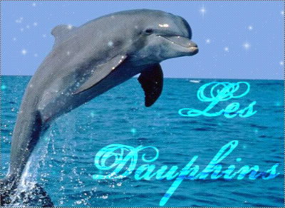 Connais-tu les dauphins