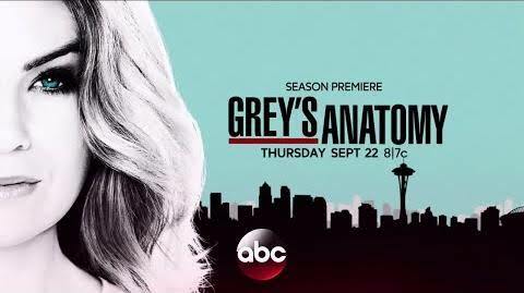 Grey's Anatomy S13