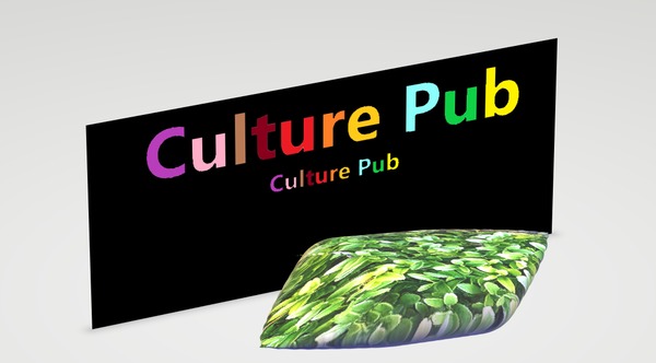 Culture pub