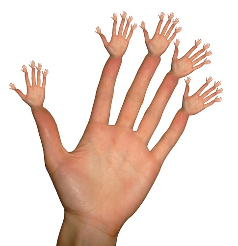 Les doigts de la main