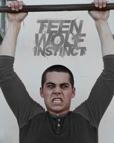 Teen Wolf différentes saisons