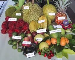 Les fruits et légumes tropicaux - 10A