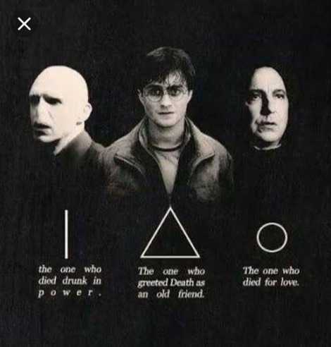 Vc conhece bem Harry Potter?