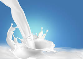 Le lait et les industriels