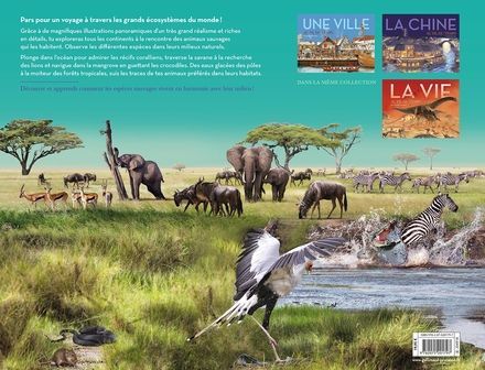 Identifiez le continent de ces animaux 2