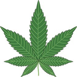 Le Cannabis