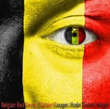 La Belgique (facile)