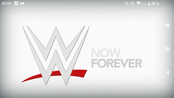WWE PPV 1990-2000
