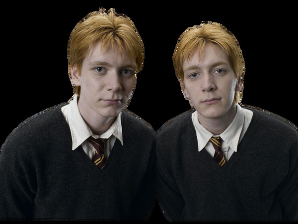 Les personnages : Fred et George Weasley