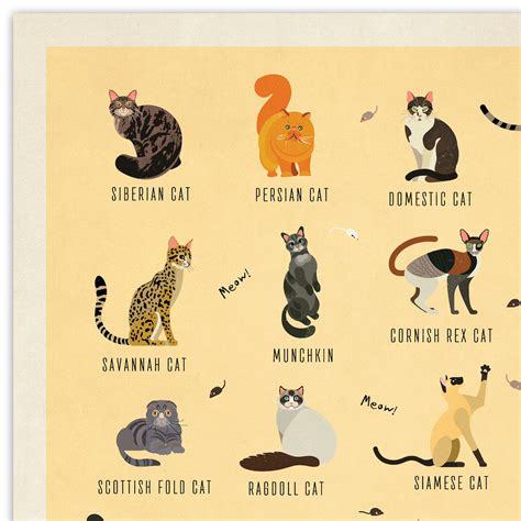 Les Chats