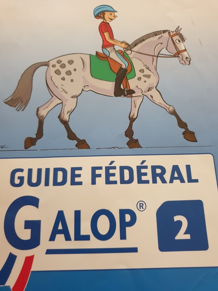 GALOP 2
