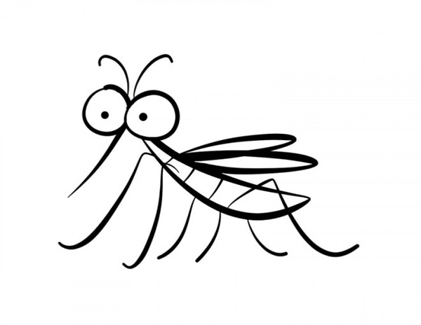 Le moustique‚ le cafard