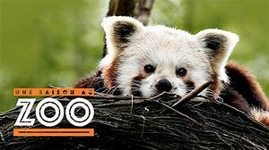 Zoo saison 1 épisode 1