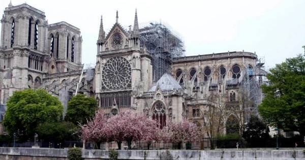 Mon journal en ligne : la cathédrale Notre Dame