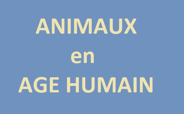 Age : équivalence hommes / animaux