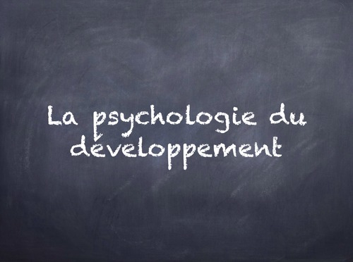 L1 psychologie du développement
