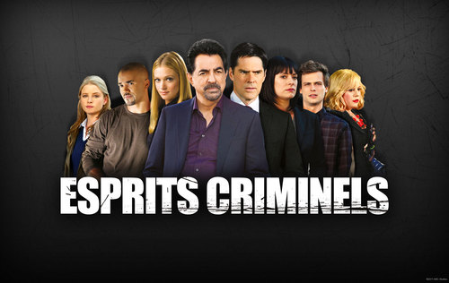 Les séries TV à travers le monde (3) : Esprits criminels - 2009