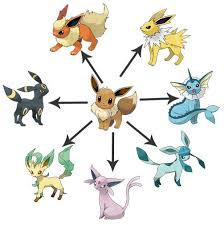 Les évolutions des Pokemon